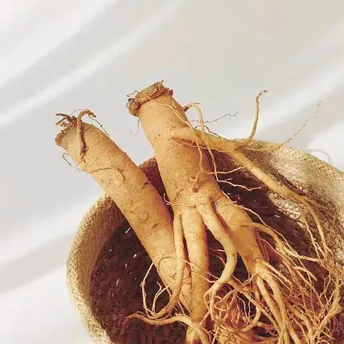 Beauty of Joseon Ginseng Essence Water 150ml - Image 7